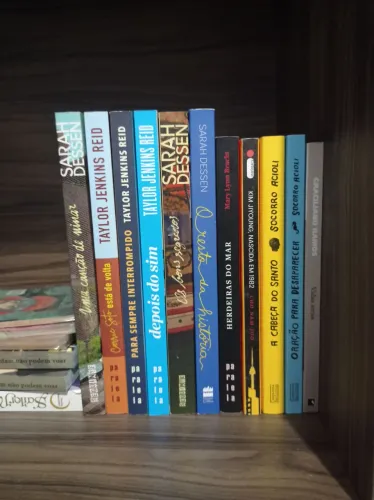 Livros usados (LEIA A DESCRIÇÃO) - sarah dessen, etc