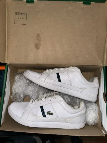 tênis da Lacoste Original