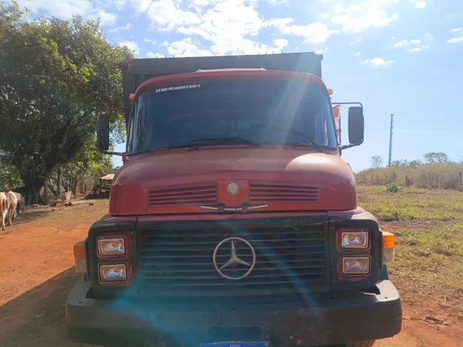 Caminhão Boiadeiro 