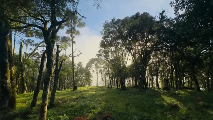 Sítio à venda | 2 hectares | Próximo do Centro | Urubici-SC | Serra Catarinense