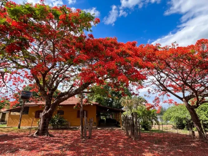 Propriedade Rural - 14 Hectares