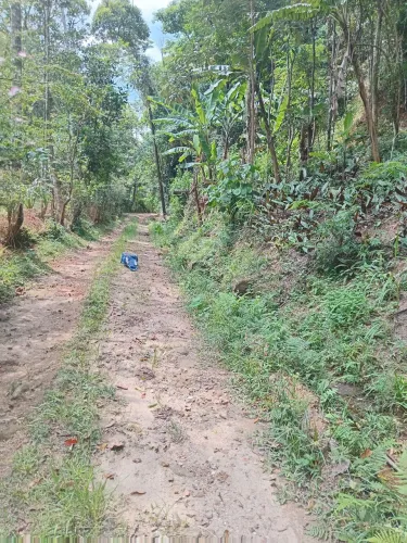 Vendo terreno em engenheiro Paulo de Frontein