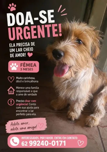Doação urgente 