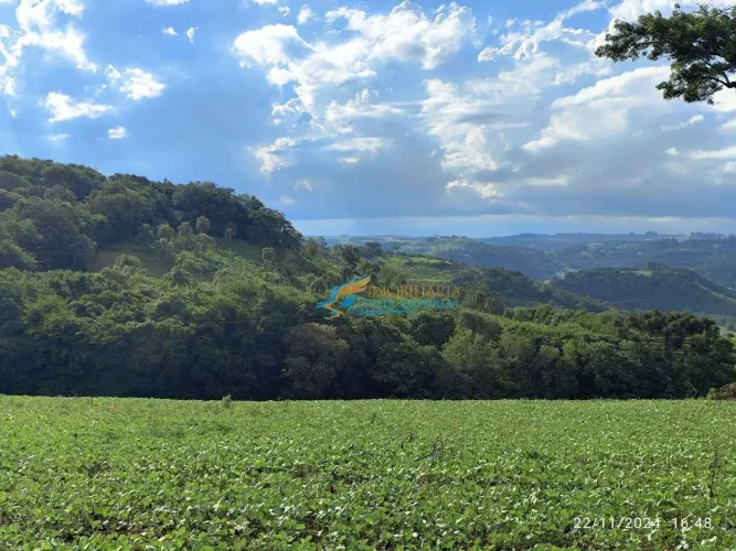 Sítio à venda, 146400 m² por R$ 700.000,00 - Linha Santana - Catanduvas/PR