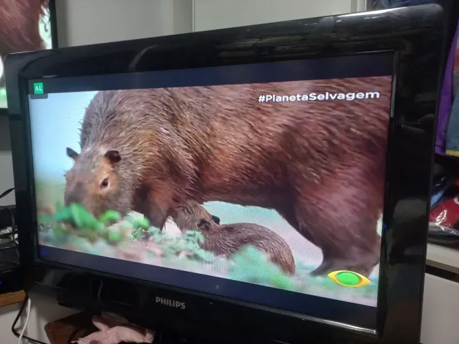 TV 26" Philips LCD em ótimo estado som e imagem