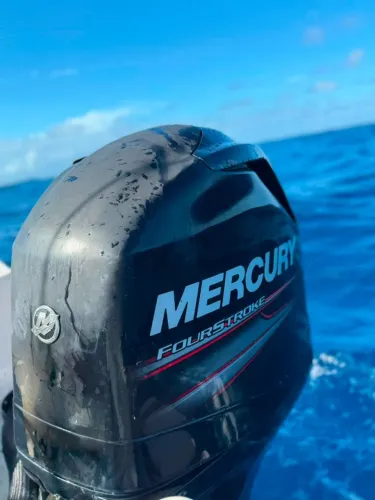 Motor Mercury 90 HP (4 Tempos) - Seminovo