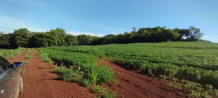 Água Boa-Pr, lotes de 20.000m2 para chácara , R$ 380.000,00