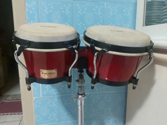 Bongo profissional Tycon Tailandês