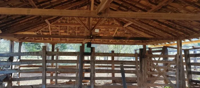Fazendinha /Bem Localizada ,Terra De Cultura,Água De Nascente,...