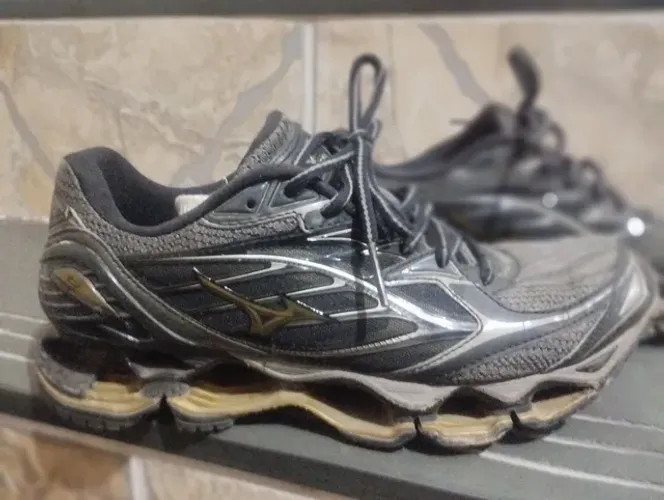 Mizuno prophecy 