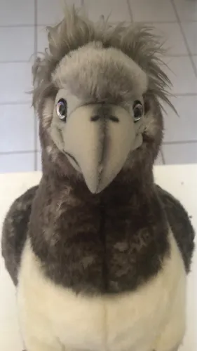 Pelúcia do hipogrifo do Harry Potter