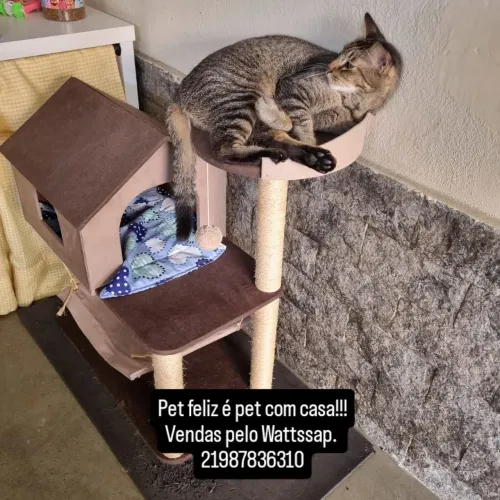 Arranhador casa mansão 