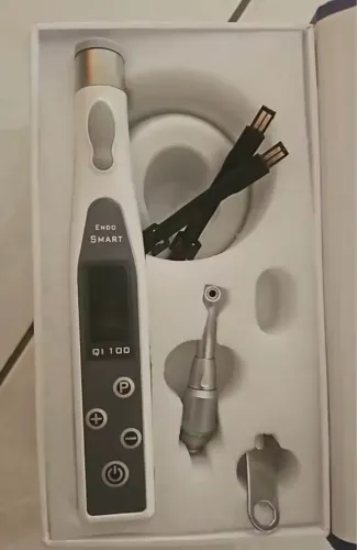 Motor Endo 