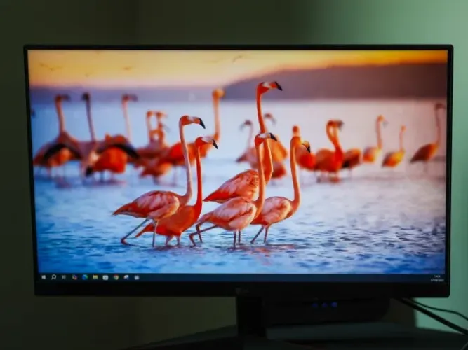 Monitor Gamer LG 24" 144HZ