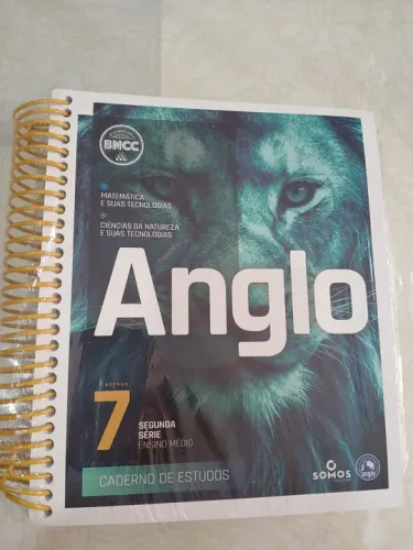 Anglo - kit 2 Caderno de Estudos 7- Segunda Serie Ensino Médio. Lacrado. 03/2024 aluno