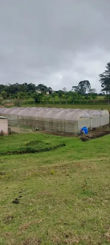 Estufa Agrícola 21x30 (630 m²). Altura livre sob arco 2,70m e vão de 3m.