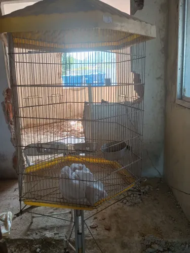 Vendo viveiro grande