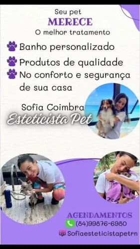 Banhos em Pet a domicílio Natal Rn