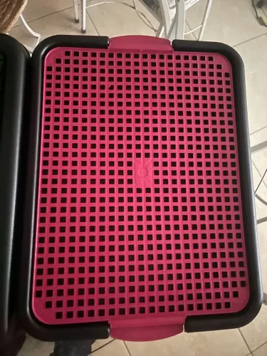 Sanitário para cachorro