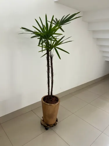 Vaso com planta natural