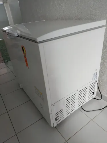 Freezer Electrolux 314 L