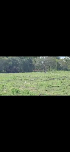Vendo 8 lotes, terreno