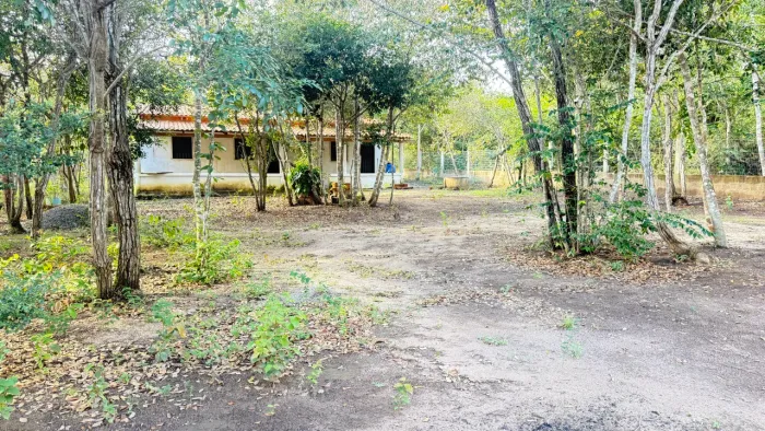 VENDO SÍTIO NA SERRA DO CRATO