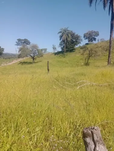 Terreno mil metros quadrados.