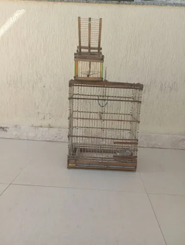 Vendo gaiola para passaro e alçapão 