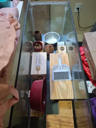 Terrario para Hamster ou Gerbil