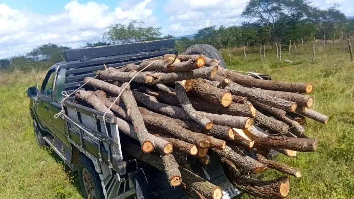 Estacas para cerca
