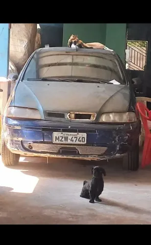 Fiat Siena 1.0/ EX 1.0 MPI Fire/ Fire Flex 8V 2005