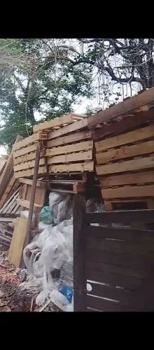 Palletts