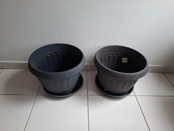 Kit com dois vasos para plantas