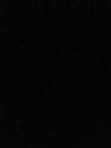 ? PROCURA-SE COMPANHEIRO(A) DE CASA - ZONA SUL | PORTO VELHO