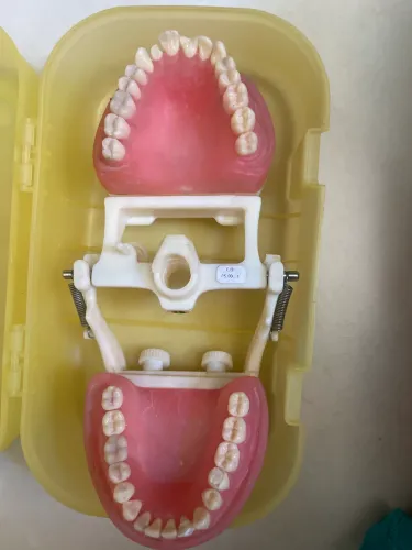 Manequim odontológico 