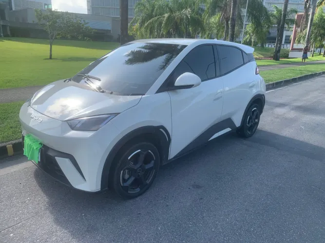 BYD Dolphin Mini (Elétrico) 2024