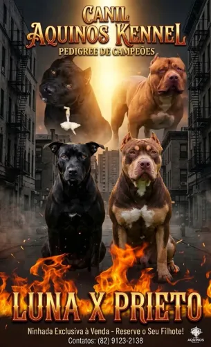 Filhotes de Pit Monsters 