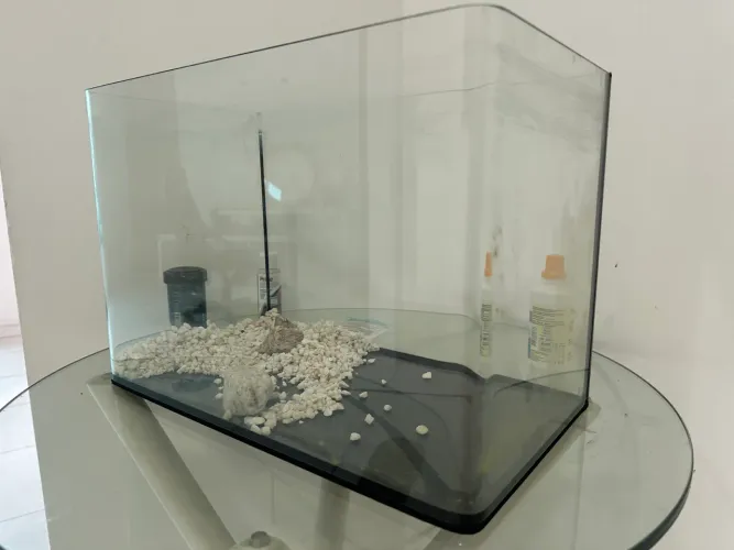 Aquário 24Litros