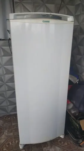 Freezer vertical