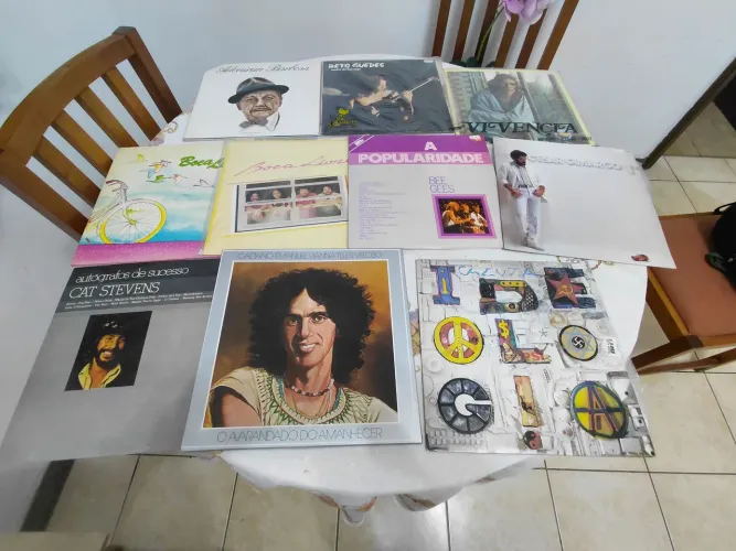 Discos de Vinil MPB e Clássicos à Venda