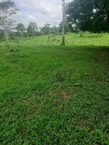 Sítio com 1 dormitório à venda, 653400 m² - Zona Rural - Nova Brasilândia D'Oeste/RO