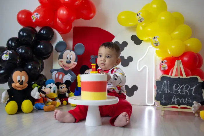 Ensaio 1 ano smash the Cake R$299