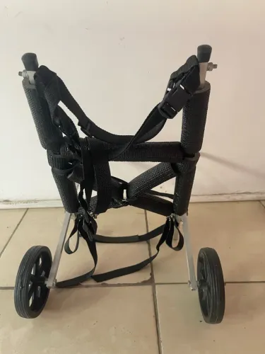 Cadeira de rodas para cachorro médio e grande