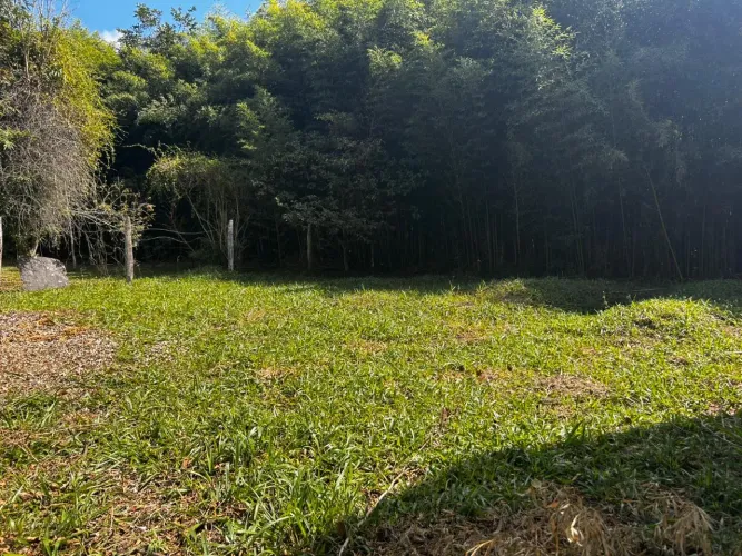 Lote / Terreno - Nova Gramado