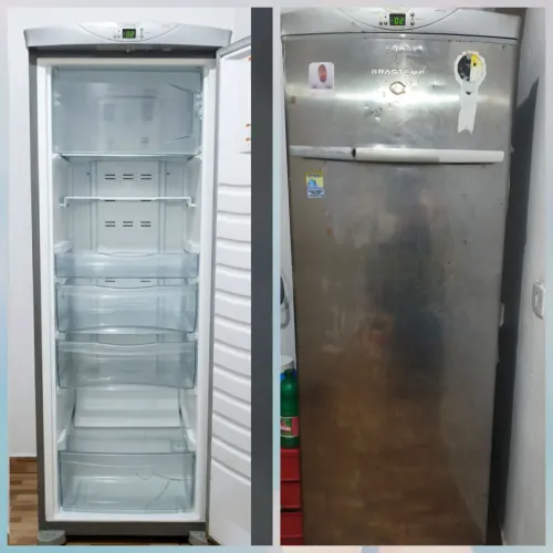 Freezer vertical
