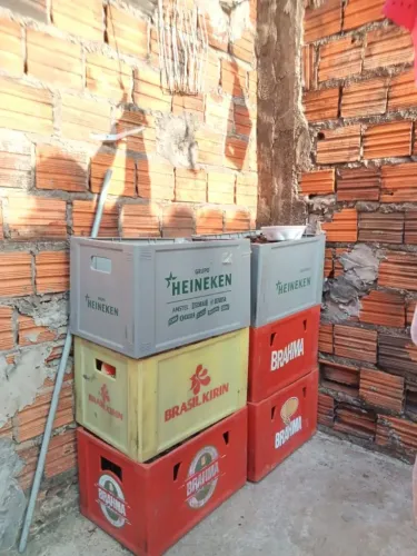 Vendo. 30 reais cada. Chama no zap. * Parque Vitória.