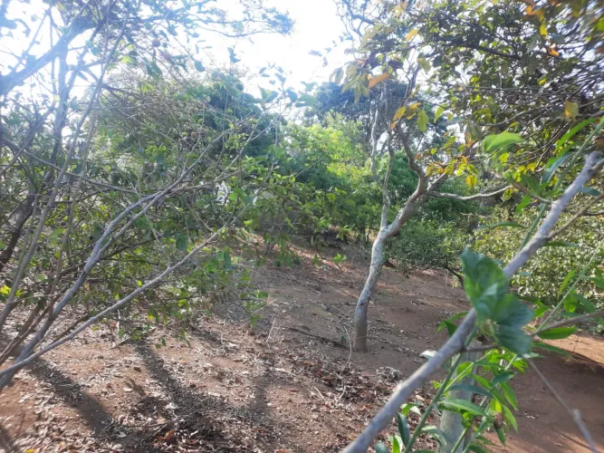 Lote em Esmeraldas