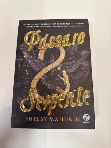 Livro Pássaro e Serpente Shelby Mahurin