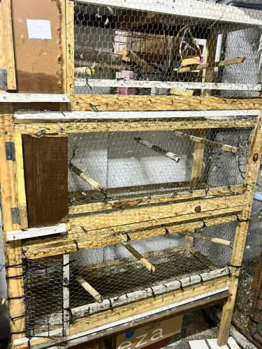 Viveiro para aves 3 divisórias separadas
